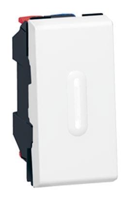 Legrand Push Button Switch, Momentary, Panel Mount, SPDT, 250V, IPX1