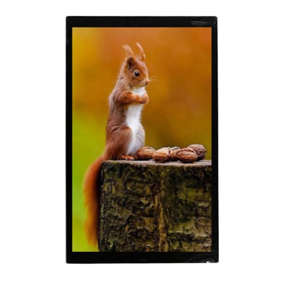 Midas MDT0700AC-USBC IPS TFT TFT LCD Display / Touch Screen, 7in, 1920 X 1200pixels