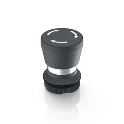 RAFI RAFIX 22 Series Illuminated Push Button Switch, Latching, Through Hole, 22.3mm Cutout, IP65