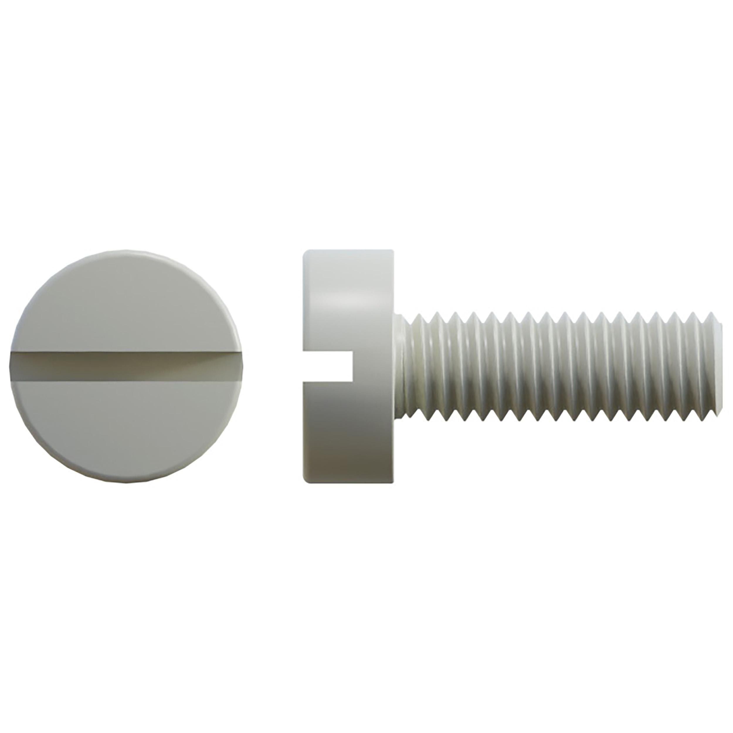 RS PRO Slot M6  Cheese Head Nylon Machine Screws DIN 84 x 20.0mm
