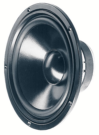 HiFi Woofer 250mm 100W 8Ohn