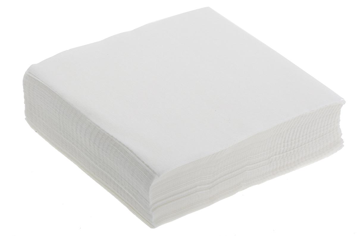 Chemtronics Econowipe Dry Cleanroom Wipes, Bag of 1200