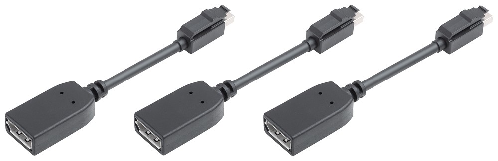 Siemens Female DisplayPort to Male Mini DisplayPort Display Port Adapter
