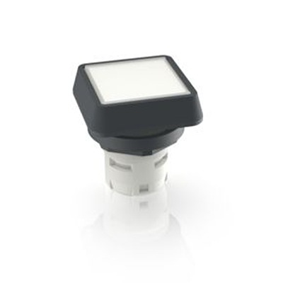 RAFI White Push Button LED for Use with Push Buttons