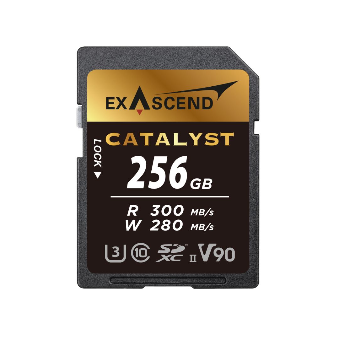 Exascend 256 GB SDXC SD Card, Class 10, UHS-II (U3), V90