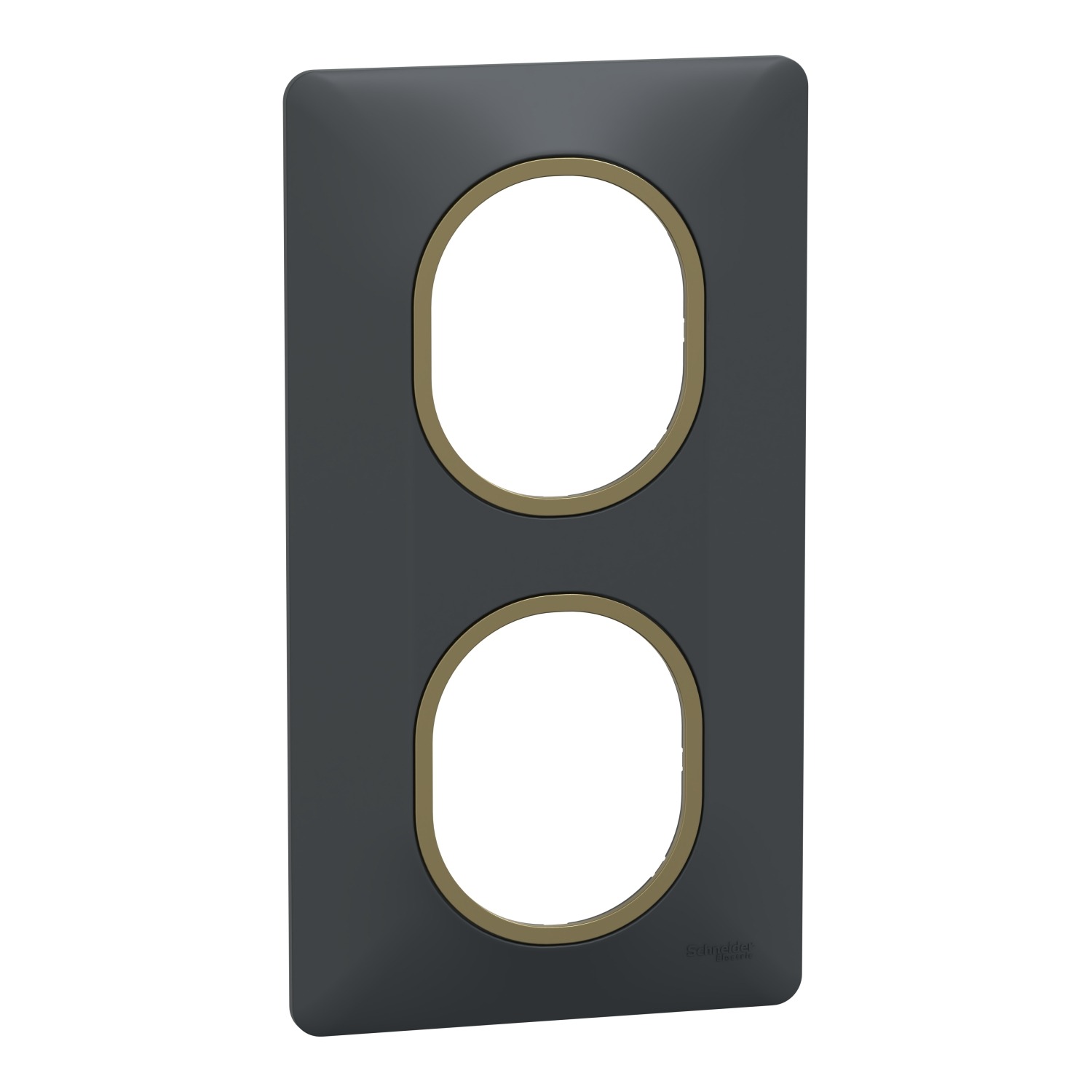 Schneider Electric Anthracite 2 Gang Light Switch Cover