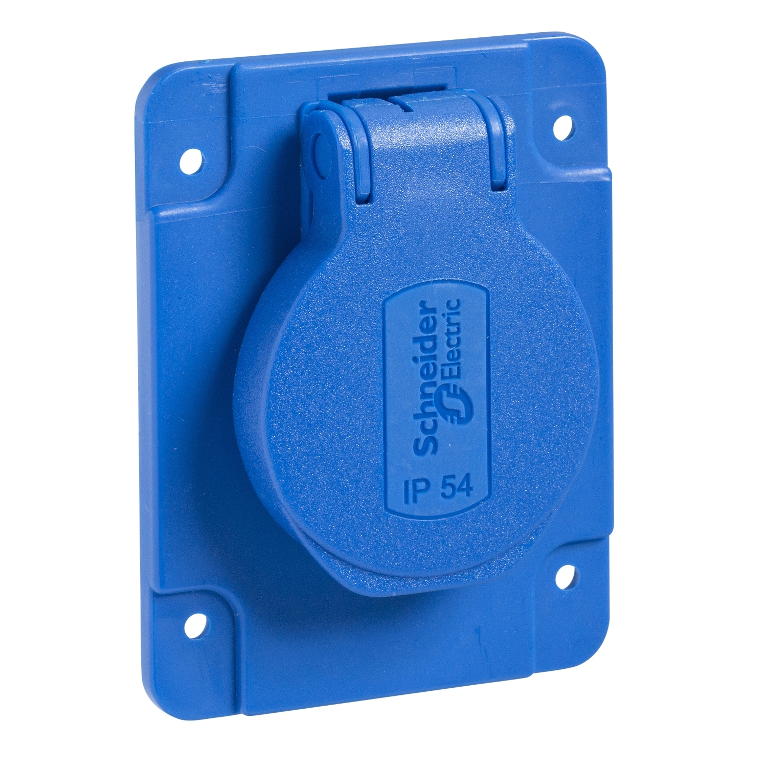 Schneider Electric Blue 1 Gang Electrical Socket, 2 Poles, 16A, Type E - French