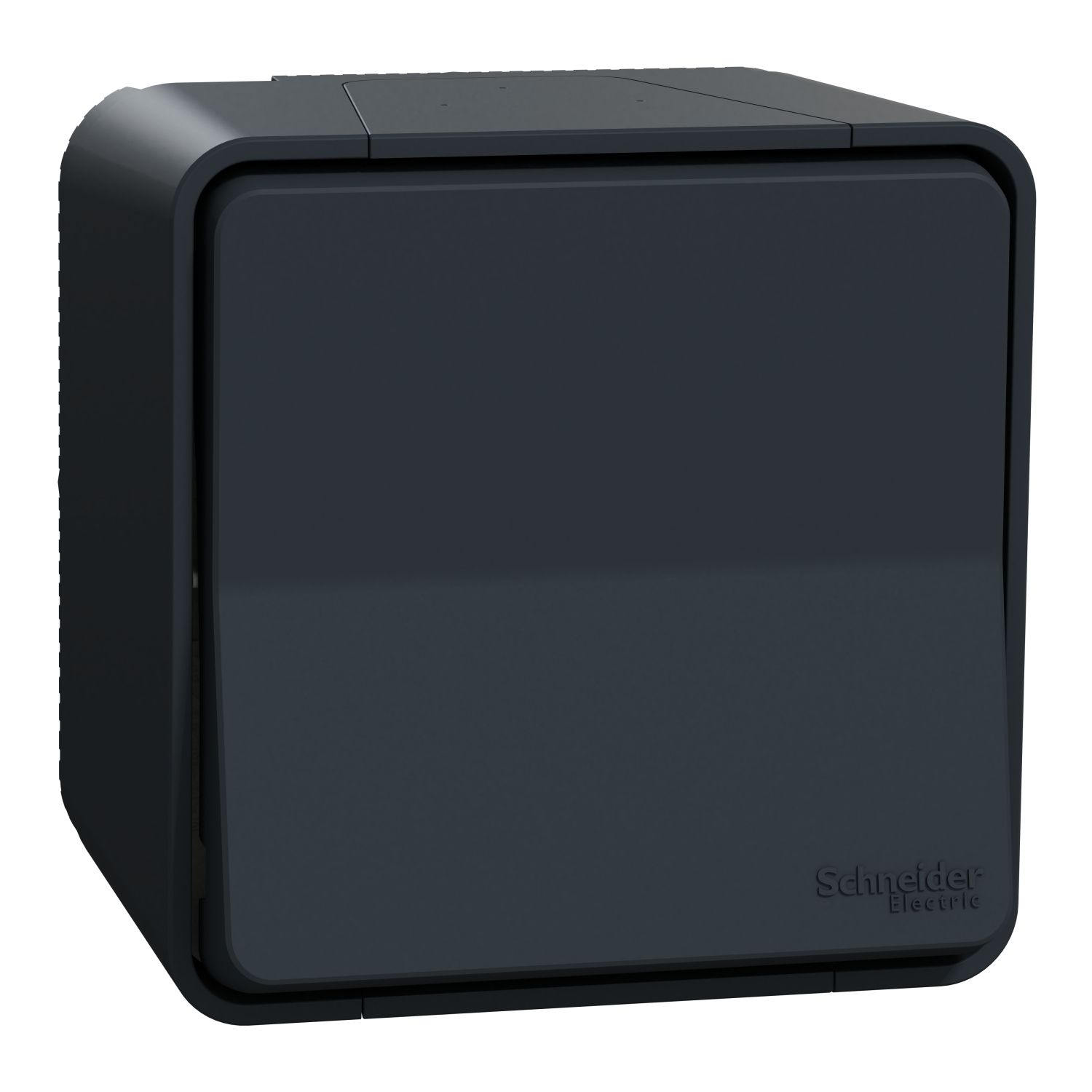 Schneider Electric, Snap Action Light Switch Surface Mount