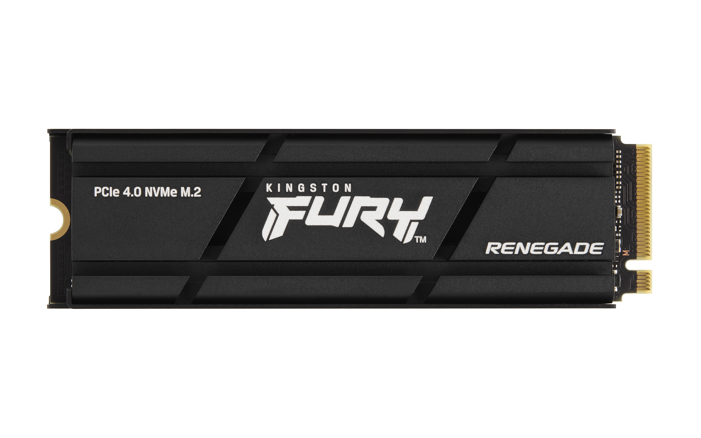 Kingston FURY Renegade M.2 (2280) 2 TB Internal SSD