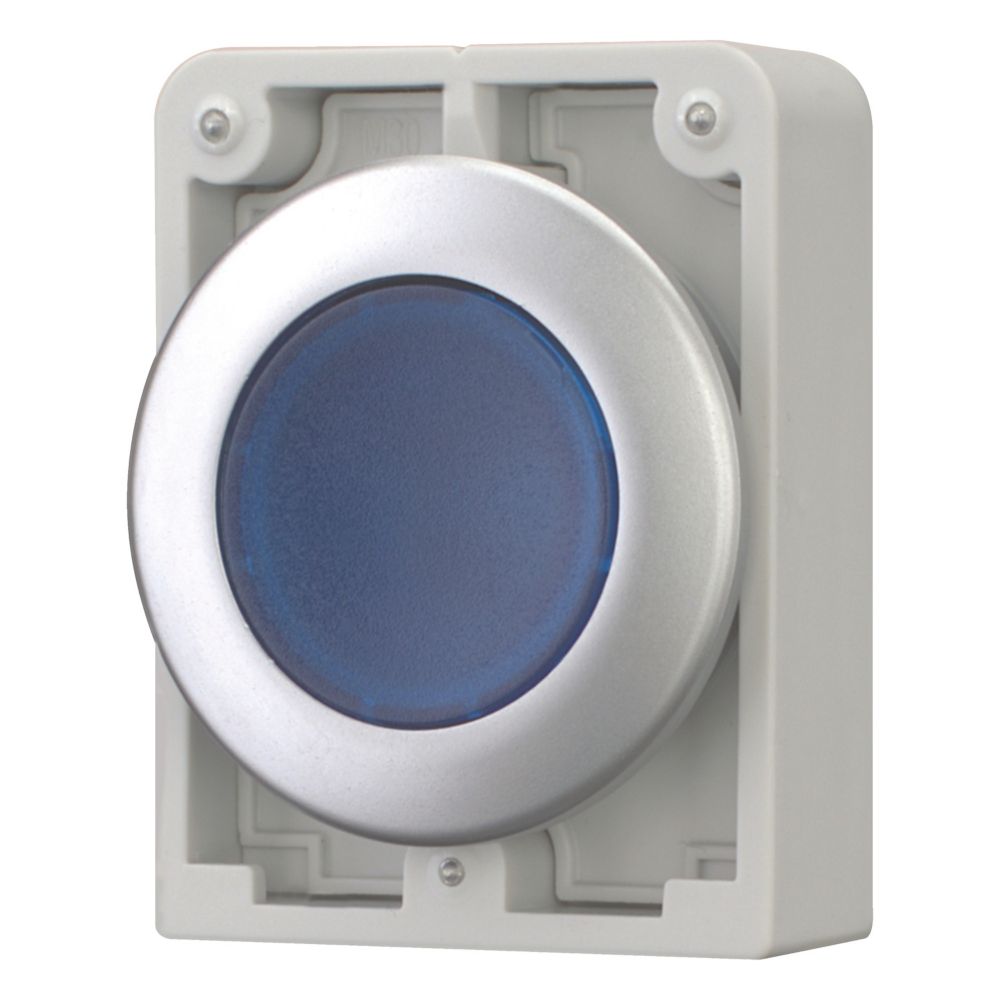 Eaton RMQ Titan M30 Series Blue Momentary Push Button, 30mm Cutout, IP67