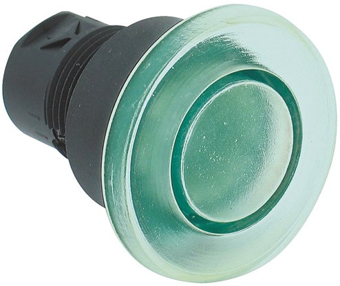 Allen Bradley 800F Series Green Illuminated Momentary Push Button Head, 22mm Cutout, IP65