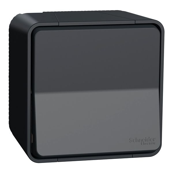 Schneider Electric Grey Push Button Light Switch, 1 Way, Mureva Styl