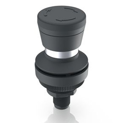 RAFI RAMO 30 T Series Illuminated Push Button Switch, Latching, Through Hole, 30.3mm Cutout, DPST, 35V, IP65, IP66, IP67