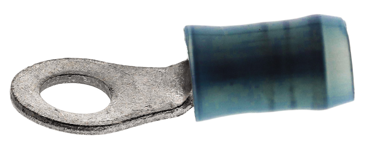 TE Connectivity, PIDG Insulated Ring Terminal, M4 Stud Size, 1mm² to 2.6mm² Wire Size, Blue