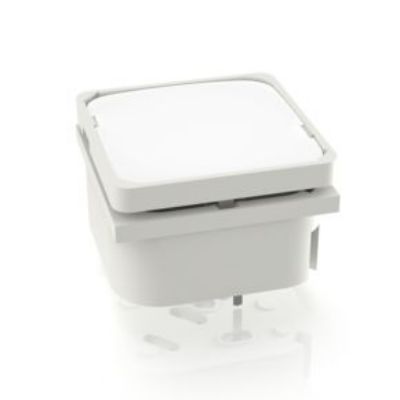 RAFI White Momentary Tactile Switch, 1NO 100mA Through Hole