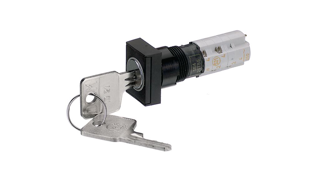 RAFI IP40 Key Switch 45-Way Tubular-Key