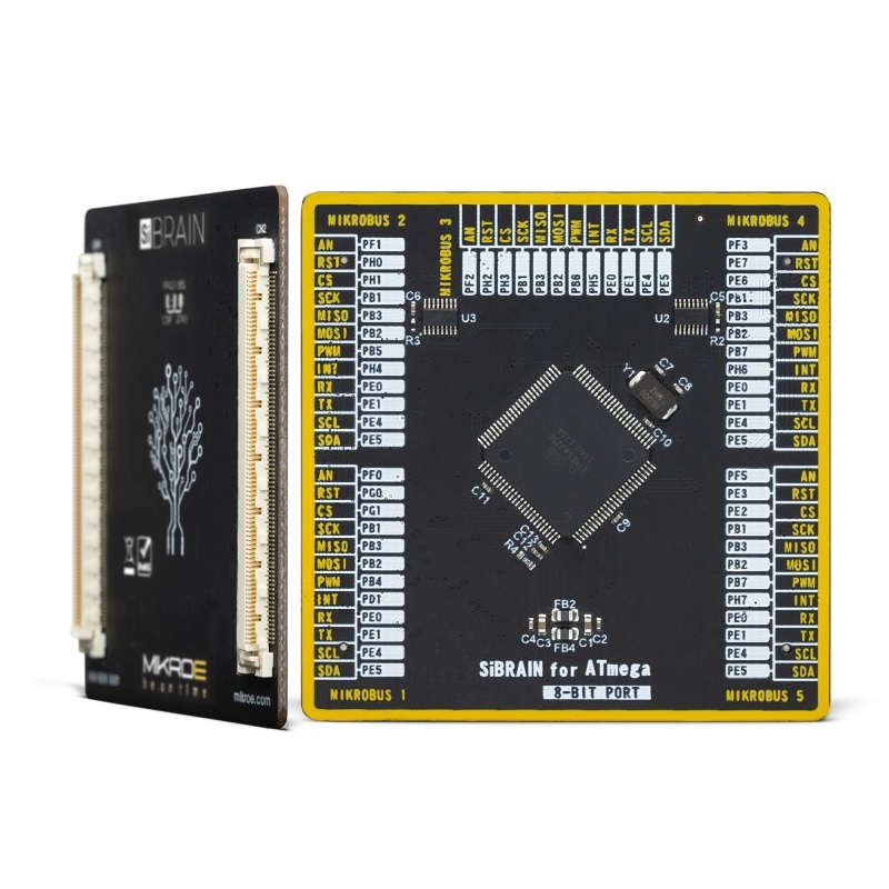 Brand-Rex SiBRAIN For ATmega3250 Microcontroller Development Board