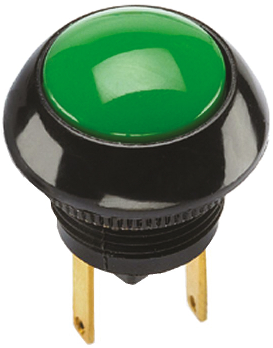 Otto Push Button Switch, Momentary, Panel Mount, SPDT, 25V dc, IP68S