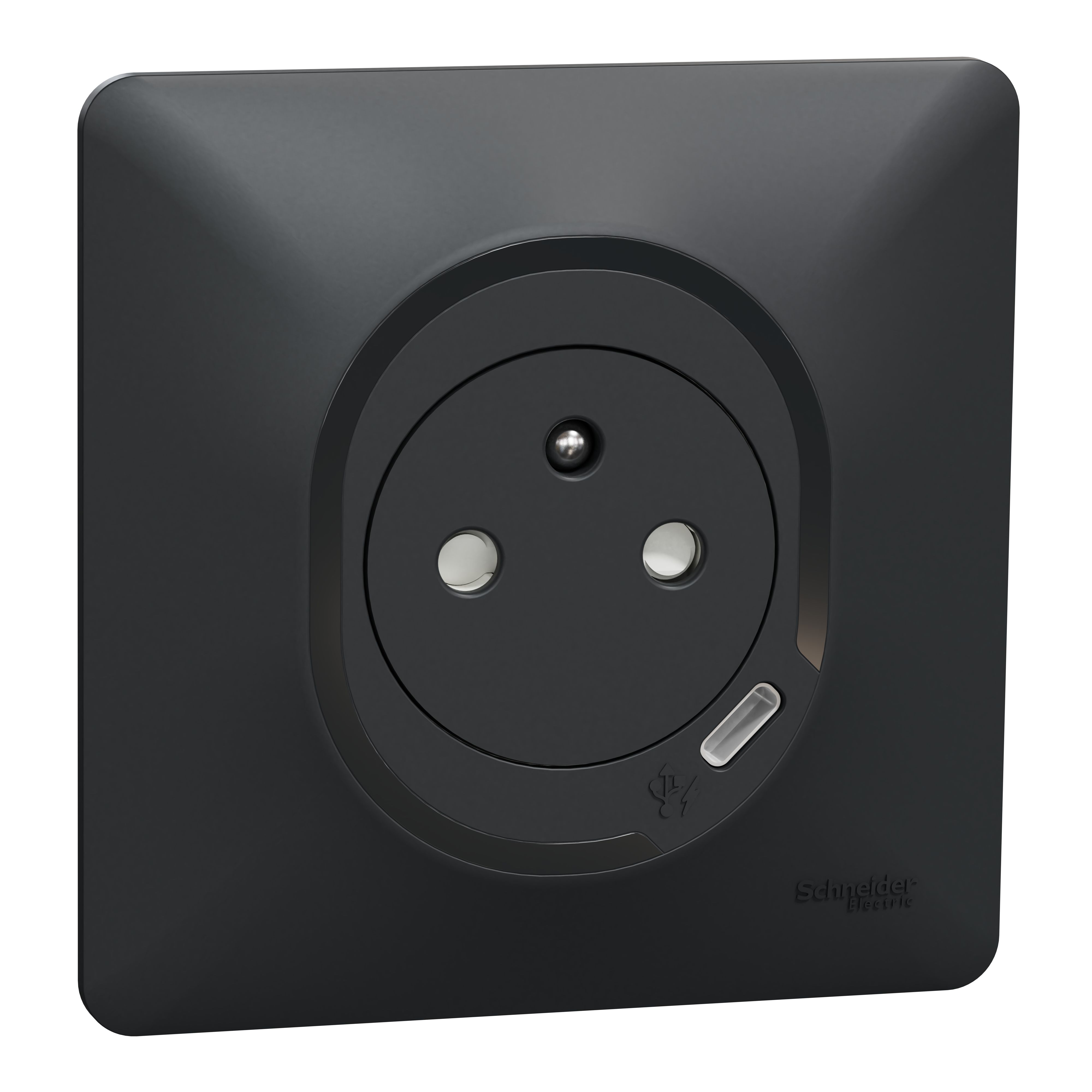 Schneider Electric Anthracite, 1 Gang, Ovalis C Series