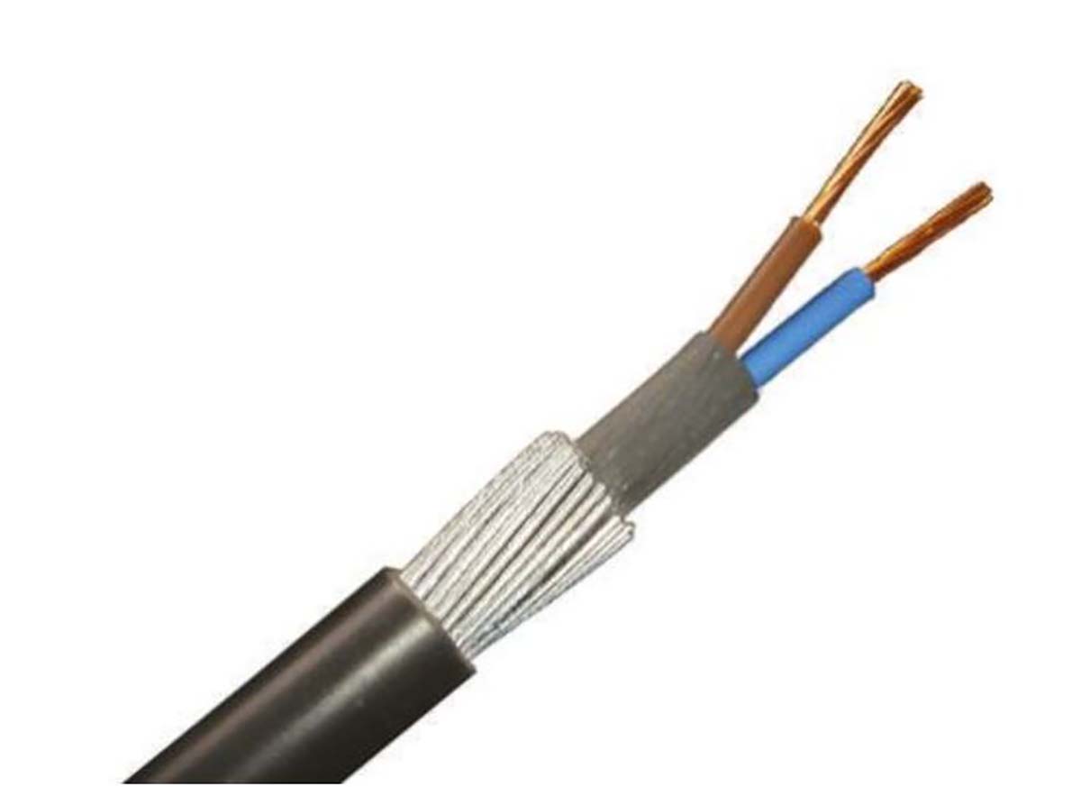 RS PRO Armoured 1.5 mm² 2 Core Power Cable, Black PVC, 100m