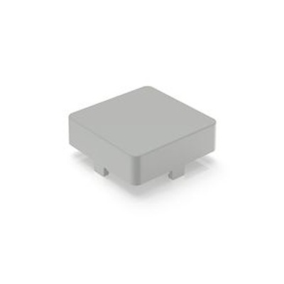 RAFI Push Button Bezel for Use with RAFIX 22