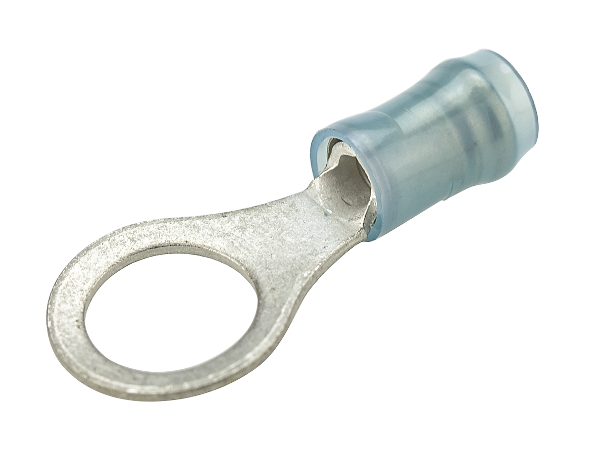 TE Connectivity, PIDG Insulated Ring Terminal, M8 Stud Size, 1mm² to 2.6mm² Wire Size, Blue