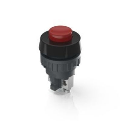 RAFI 1.1 Series Push Button, Momentary, Panel Mount, 19mm Cutout, SPST, 250V, IP40, IP65