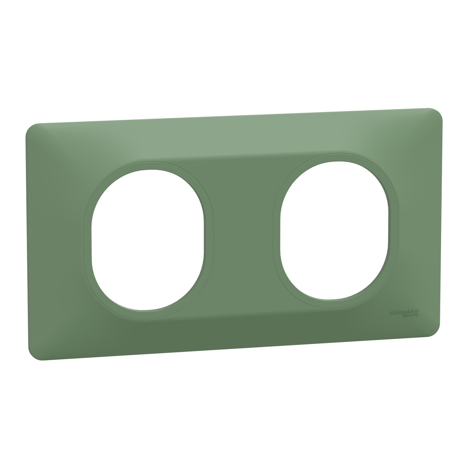 Green 2 Gang Light Switch Cover
