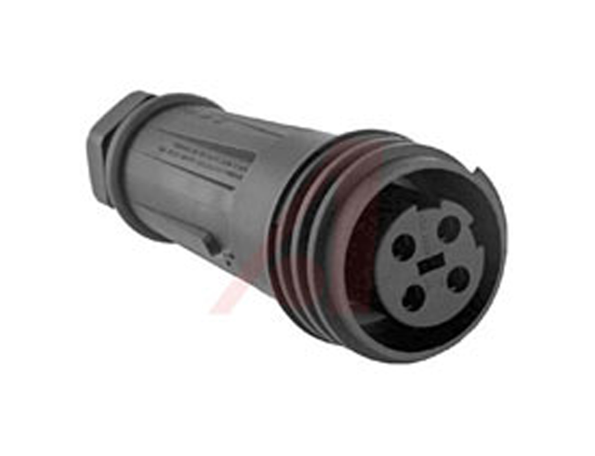 Bulgin Circular Connector, 4 Contacts, Cable, Standard Connector, Socket, Female, IP68, Buccaneer 900 Series