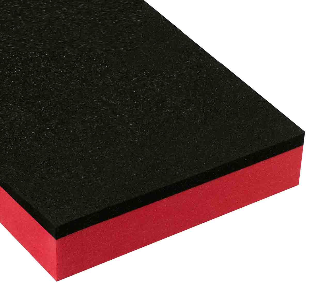 Facom Foam Insert