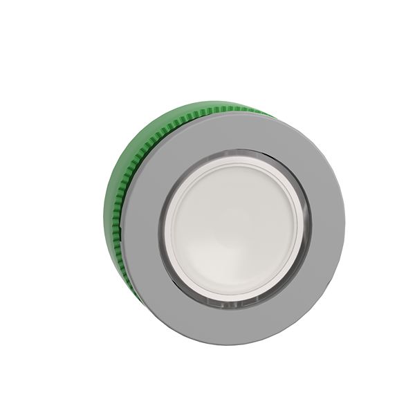 Schneider Electric Harmony XB5 Series White Spring Return Push Button Head