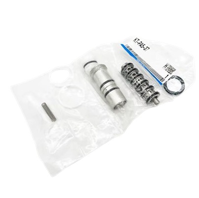 SMC Pump Accessory, Pump Spares Kit for use with PA5000 Series