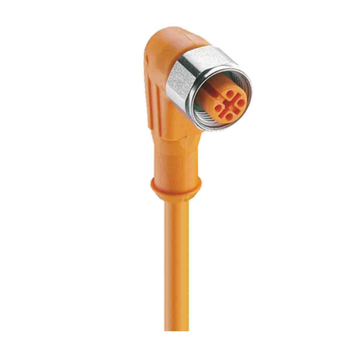 Lumberg Automation Female 4 way M12 to Unterminated Free End Sensor Actuator Cable, 5 m