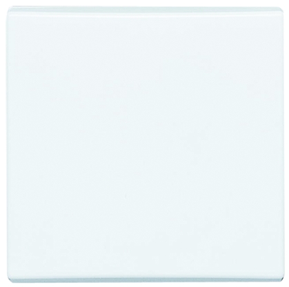 Busch Jaeger - ABB White 1 Gang Blanking Plate