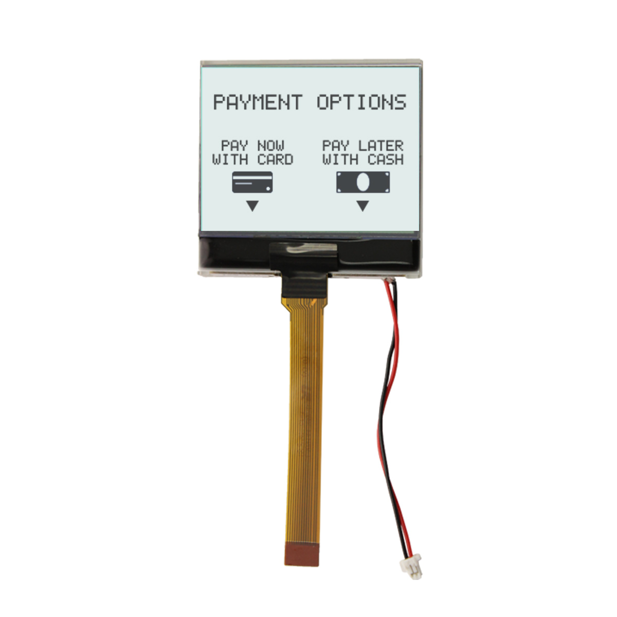 NEWHAVEN DISPLAY INTERNATIONAL NHD-C160100DiZ-FSW-FBW NHD-C160100DiZ Graphic LCD Graphic Display, Black on White,