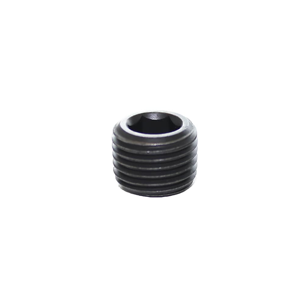 Legris NPT 1/4 Male Blanking Plug