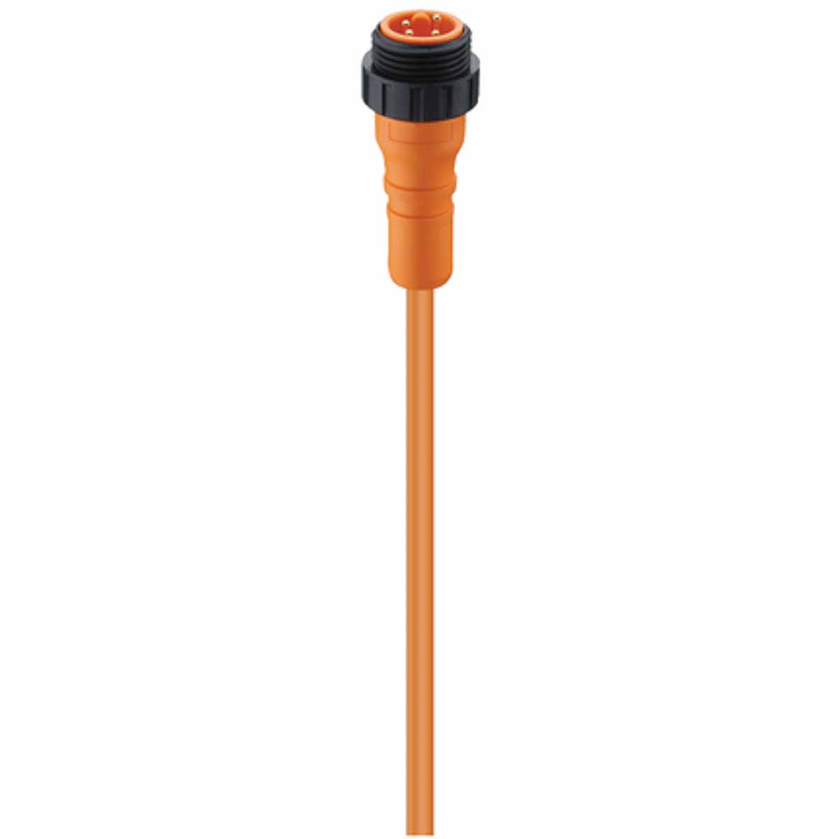 Lumberg Automation Male 4 way 7/8 in Power Single-Ended Cordet to Free End Sensor Actuator Cable
