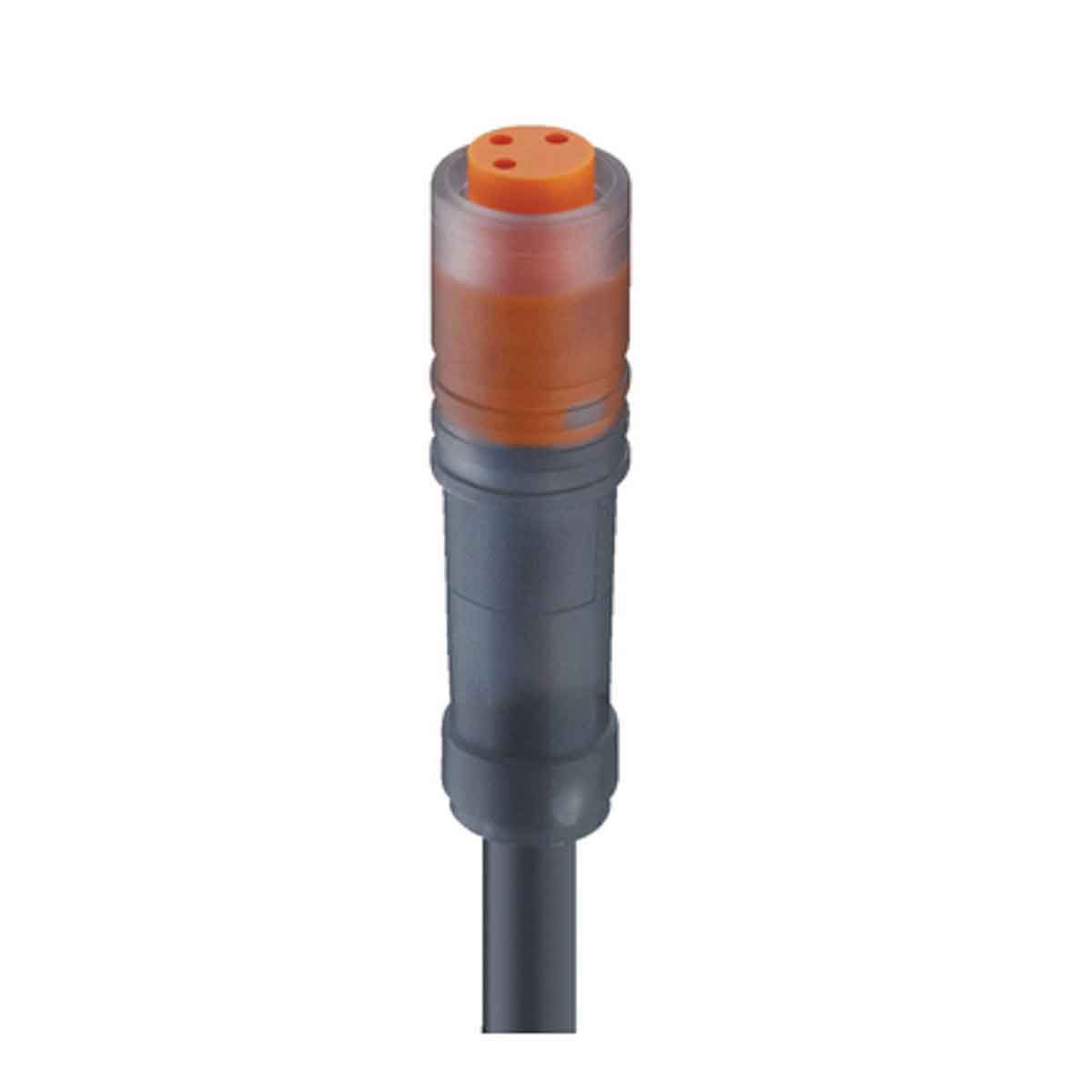 Lumberg Automation Female 3 way M8 to Free End Sensor Actuator Cable, 300 mm