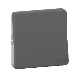 Schneider Electric Light Switch Surface Mount