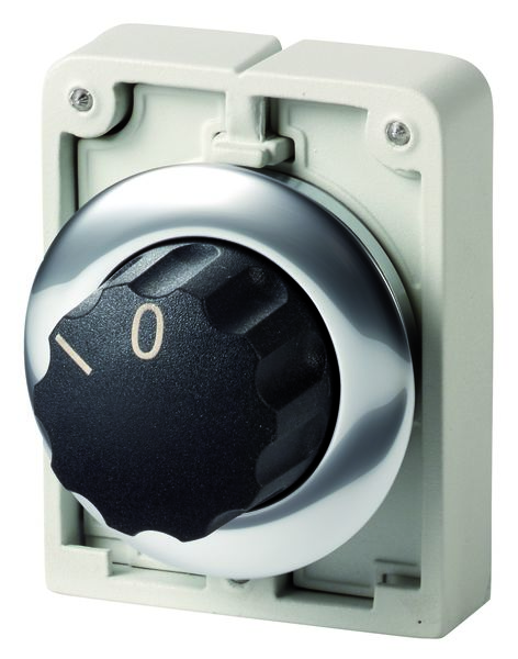 Eaton 2 Position 40° Changeover Cam Switch, Button Actuator