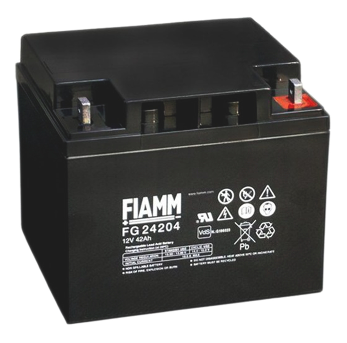 Fiamm 12V M6 Sealed Lead Acid Battery, 42Ah