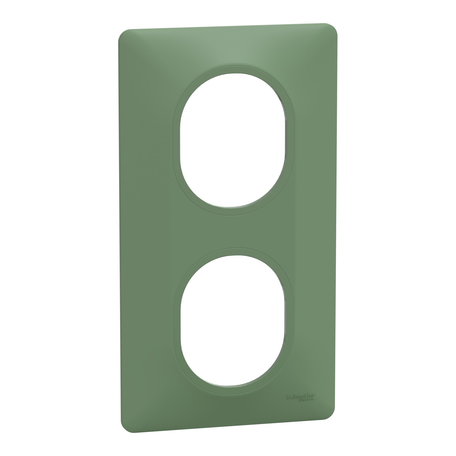 Green 2 Gang Light Switch Cover