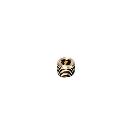 Legris NPT 1/8 Male Brass Tubing Plug