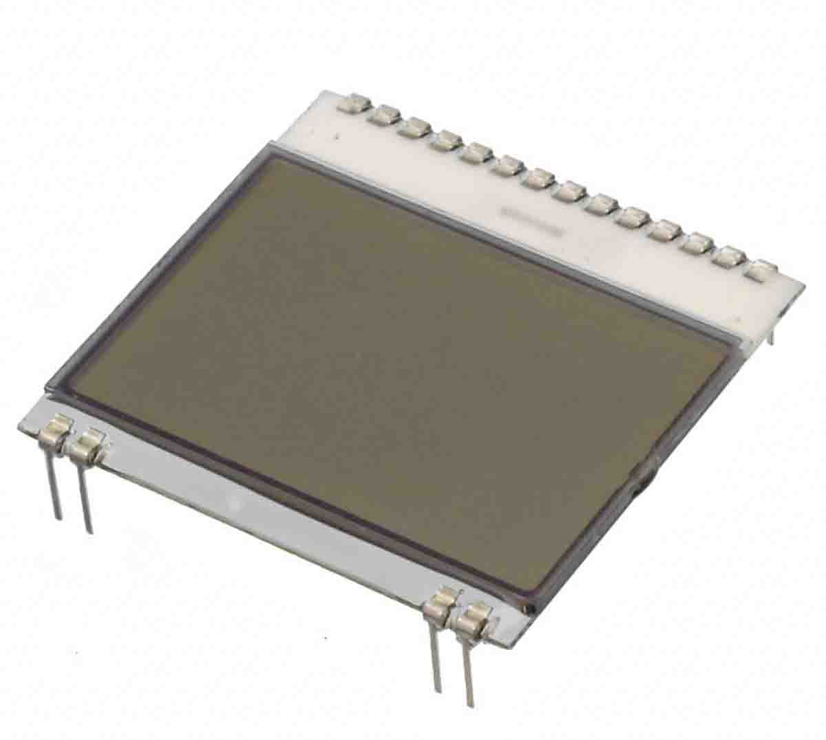 Display Visions EA DOGS102N-6 EA DOG LCD Display