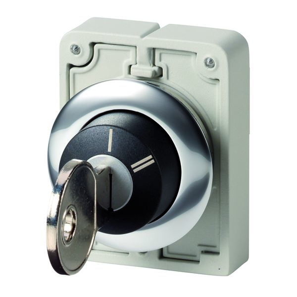 Eaton IP66 Keylock Switch 2-Way Common-Key