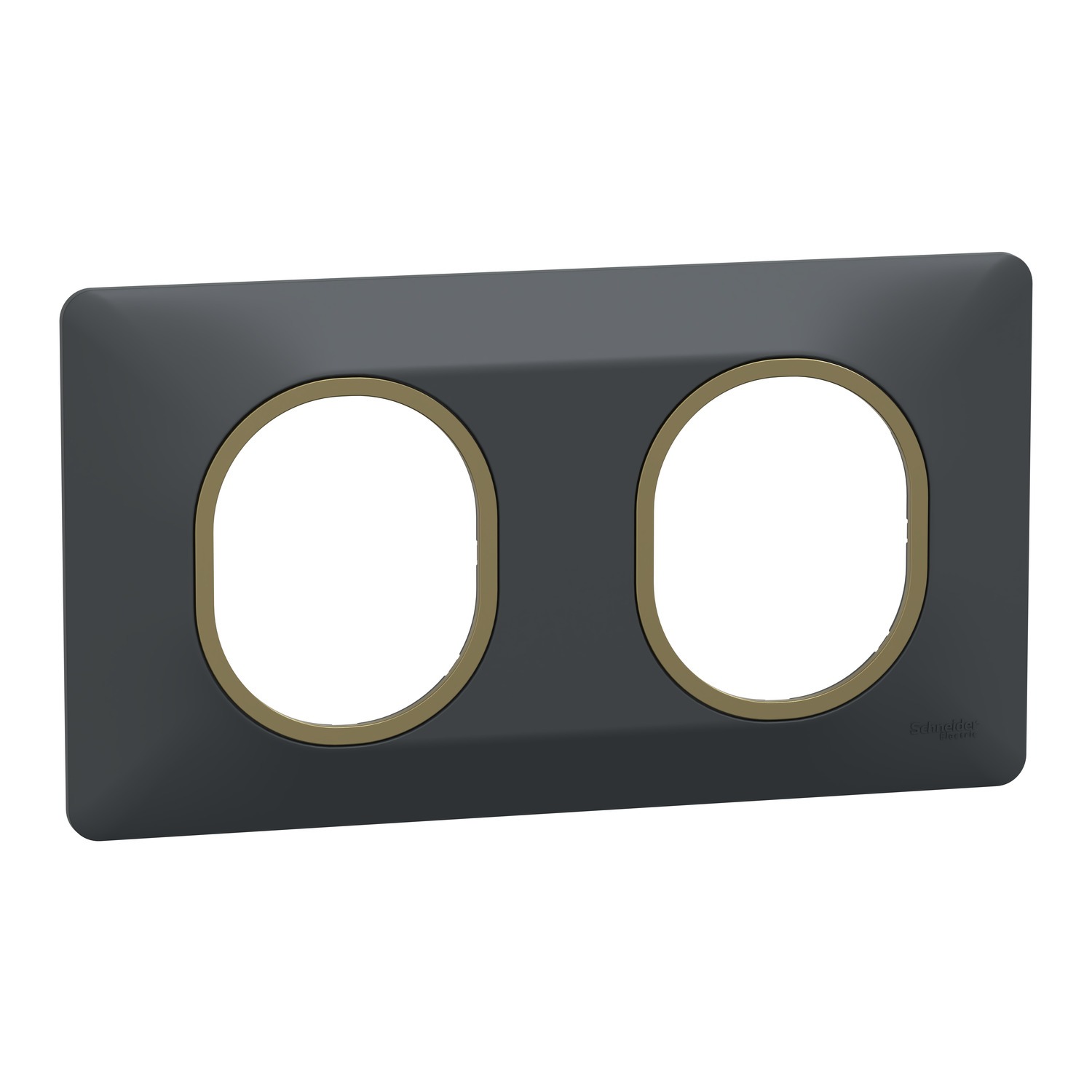 Schneider Electric Anthracite 2 Gang Light Switch Cover