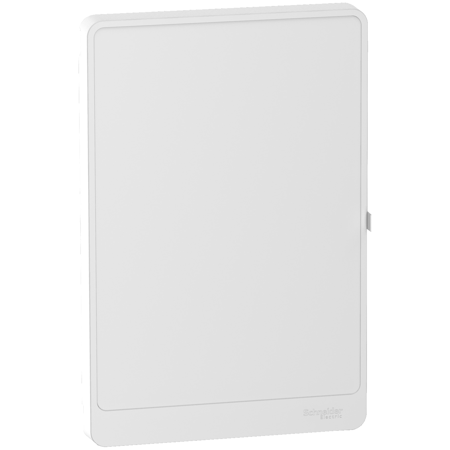 Schneider Electric Resi9 Series Plain Door for Use with Resi9 Enclosure, 247.5 x 620.5 x 27mm