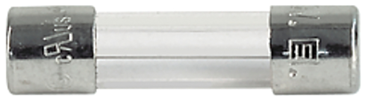 Schurter 3A F Glass Cartridge Fuse, 5 x 20mm