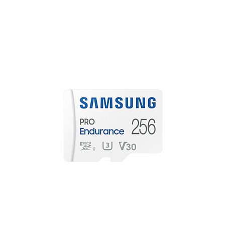 Samsung 256 GB MicroSDXC Micro SD Card, Class 10