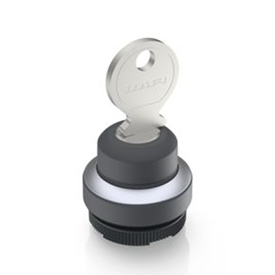 RAFI IP65 Key Switch 1-Way Tubular-Key